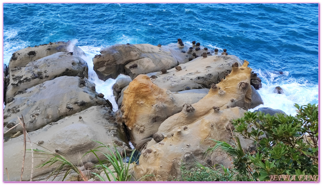 北海岸及觀音山國家風景區,北觀國家風景區,台灣好行T99濱海奇基線,台灣旅遊,和平島地質公園,基隆Keelung,減碳回饋包,減碳旅遊,碳中和旅遊,遊遊付