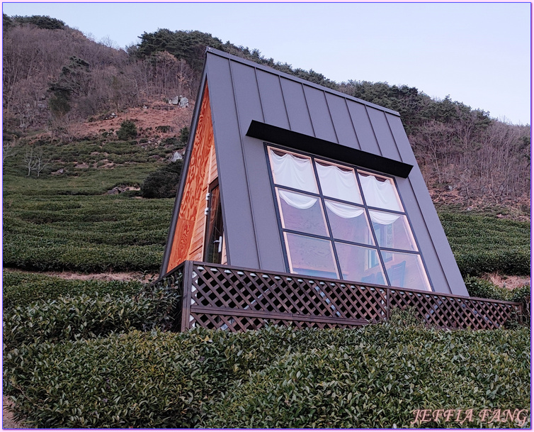 Gyeongsang-nam do,慶尚南道,河東郡,細雀綠茶,道心茶園(도심다원),雨前綠茶,韓國旅遊,韓國綠茶