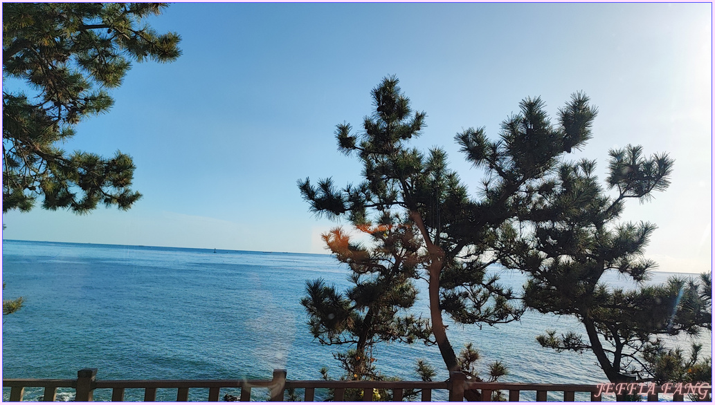 海雲臺Blueline Park 海濱列車,釜山Busan,釜山天空膠囊列車,釜山海雲台HAEUNDAE,釜山版的櫻木花道平交道,青沙浦SNS打卡聖地,面對好景的移動,韓國旅遊