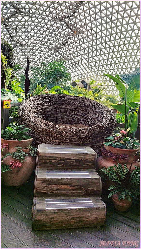 Geoje Botanic Garden,圓頂叢林園Geoje Jungle Dome,巨濟植物園,慶尚南道,韓國旅遊,거제식물원