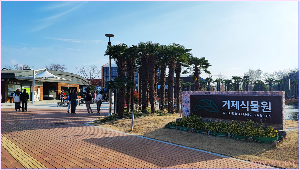 Geoje Botanic Garden,圓頂叢林園Geoje Jungle Dome,巨濟植物園,慶尚南道,韓國旅遊,거제식물원