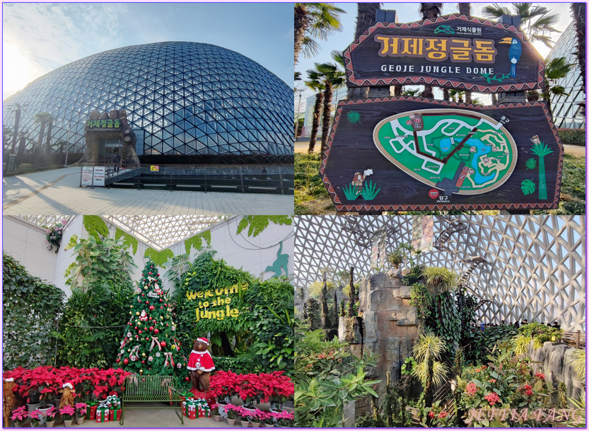 Geoje Botanic Garden,圓頂叢林園Geoje Jungle Dome,巨濟植物園,慶尚南道,韓國旅遊,거제식물원