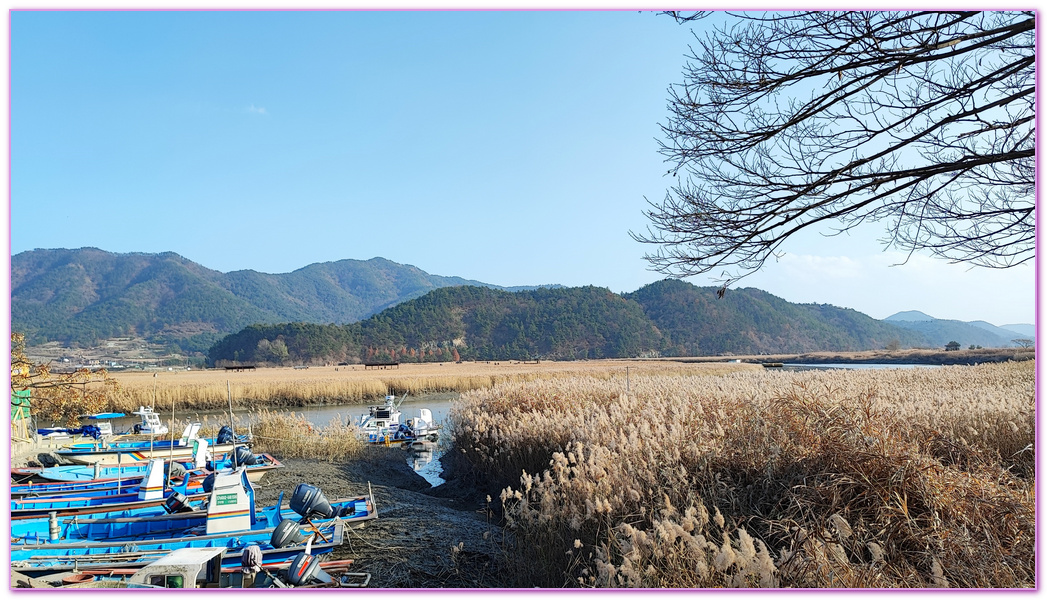 Suncheon Bay Wetland,全羅南道Jeollanam Do,全羅南道順天SUNCHEON,韓國旅遊,順天灣濕地,순천만습지