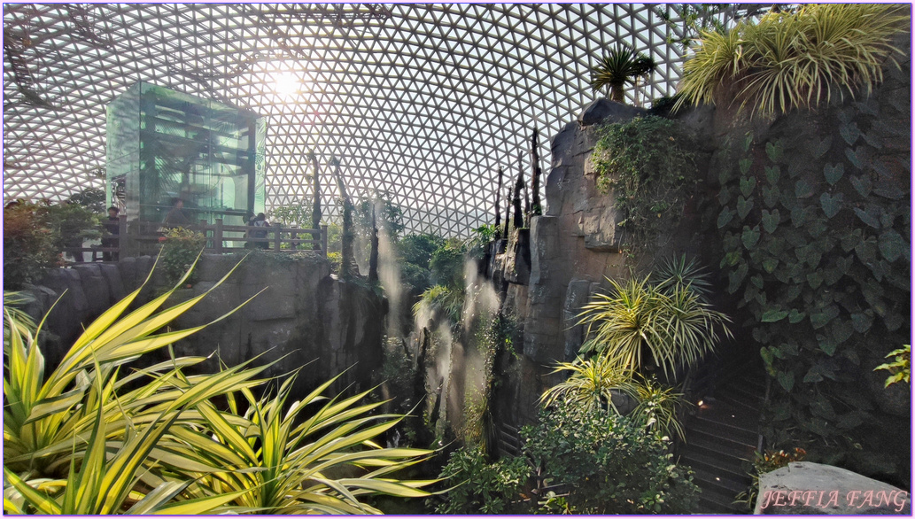Geoje Botanic Garden,圓頂叢林園Geoje Jungle Dome,巨濟植物園,慶尚南道,韓國旅遊,거제식물원