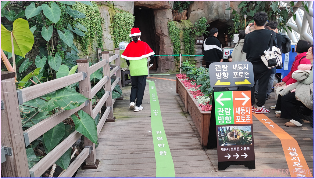 Geoje Botanic Garden,圓頂叢林園Geoje Jungle Dome,巨濟植物園,慶尚南道,韓國旅遊,거제식물원