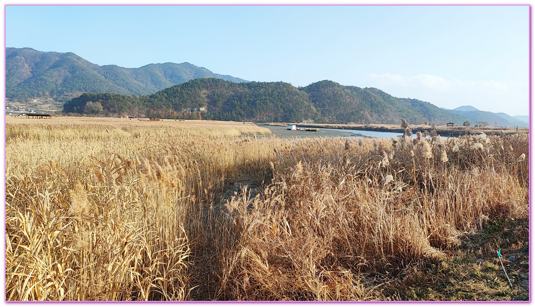 Suncheon Bay Wetland,全羅南道Jeollanam Do,全羅南道順天SUNCHEON,韓國旅遊,順天灣濕地,순천만습지