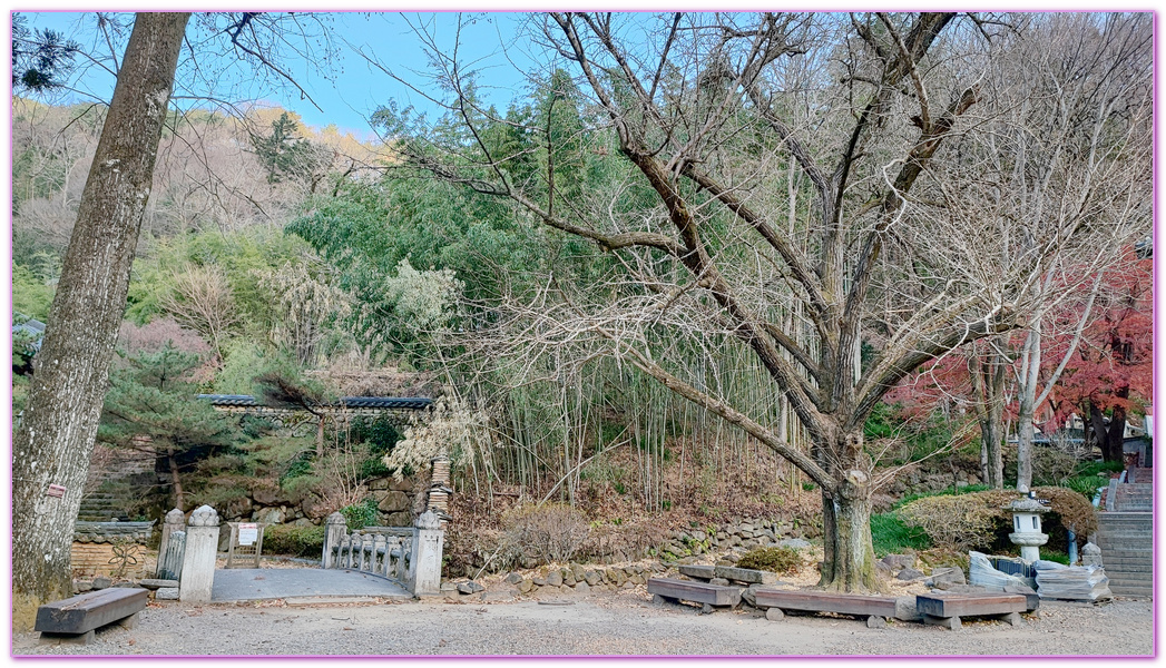 寺廟住一晚,慶尚南道,河東郡,雙磎寺Ssanggyesa Temple쌍계사,韓國旅遊