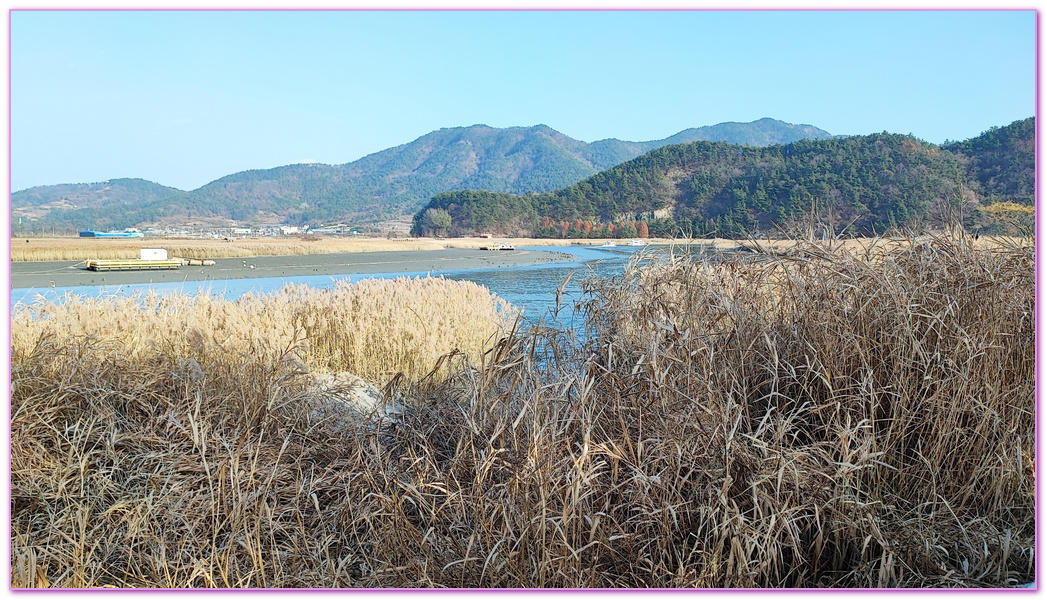 Suncheon Bay Wetland,全羅南道Jeollanam Do,全羅南道順天SUNCHEON,韓國旅遊,順天灣濕地,순천만습지