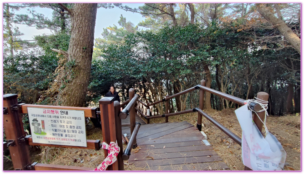 巨濟Geoje,慶尚難道,韓國旅遊,風之丘,風之丘熱狗