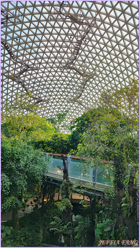 Geoje Botanic Garden,圓頂叢林園Geoje Jungle Dome,巨濟植物園,慶尚南道,韓國旅遊,거제식물원