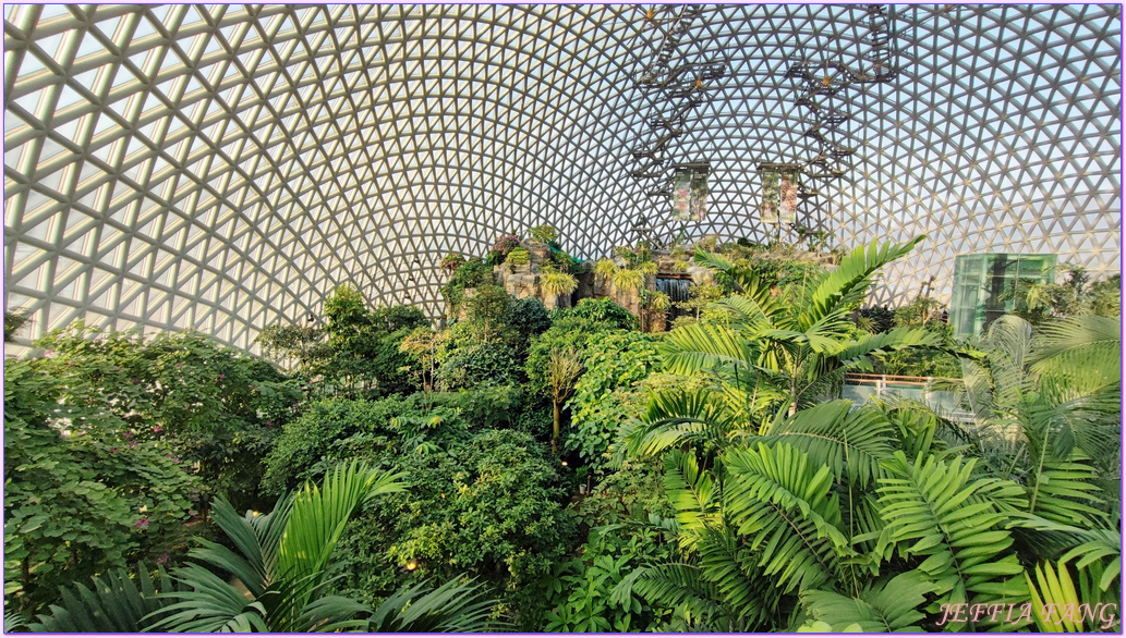 Geoje Botanic Garden,圓頂叢林園Geoje Jungle Dome,巨濟植物園,慶尚南道,韓國旅遊,거제식물원