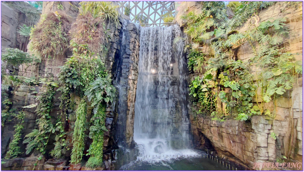 Geoje Botanic Garden,圓頂叢林園Geoje Jungle Dome,巨濟植物園,慶尚南道,韓國旅遊,거제식물원