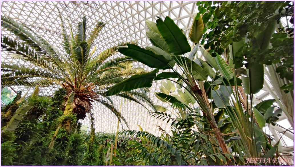 Geoje Botanic Garden,圓頂叢林園Geoje Jungle Dome,巨濟植物園,慶尚南道,韓國旅遊,거제식물원