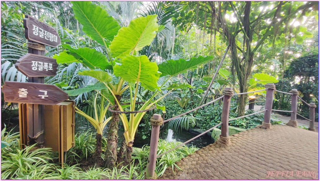 Geoje Botanic Garden,圓頂叢林園Geoje Jungle Dome,巨濟植物園,慶尚南道,韓國旅遊,거제식물원