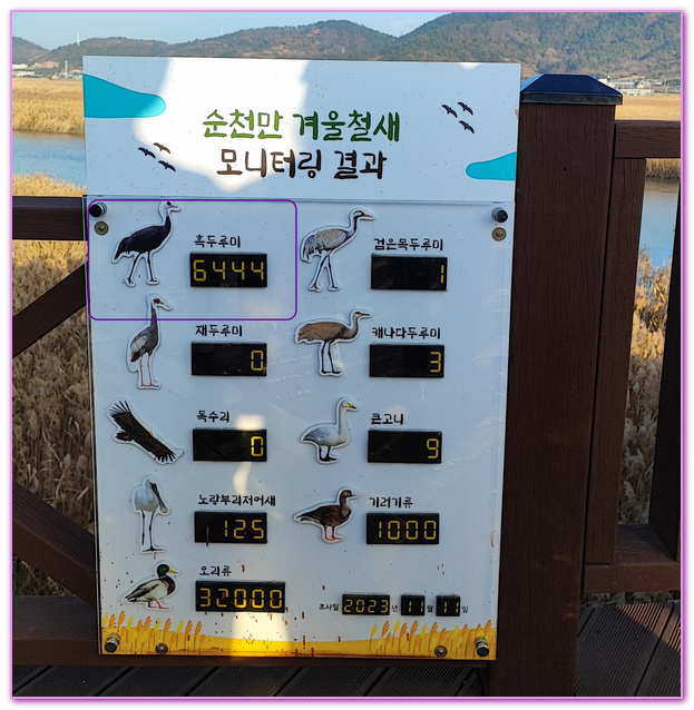 Suncheon Bay Wetland,全羅南道Jeollanam Do,全羅南道順天SUNCHEON,韓國旅遊,順天灣濕地,순천만습지