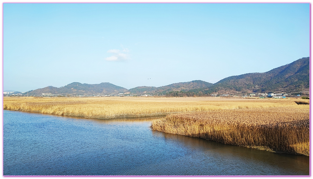 Suncheon Bay Wetland,全羅南道Jeollanam Do,全羅南道順天SUNCHEON,韓國旅遊,順天灣濕地,순천만습지