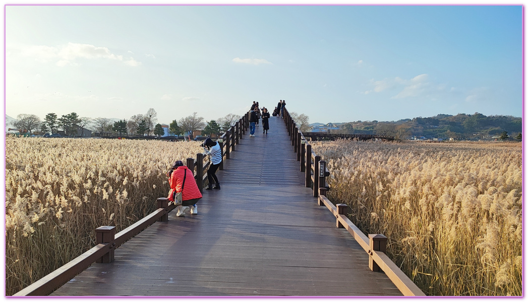 Suncheon Bay Wetland,全羅南道Jeollanam Do,全羅南道順天SUNCHEON,韓國旅遊,順天灣濕地,순천만습지