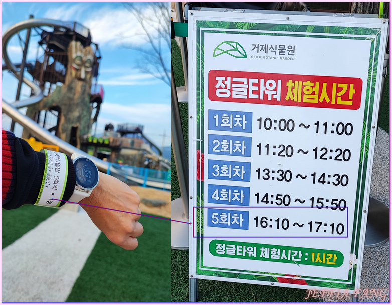 Geoje Botanic Garden,圓頂叢林園Geoje Jungle Dome,巨濟植物園,慶尚南道,韓國旅遊,거제식물원