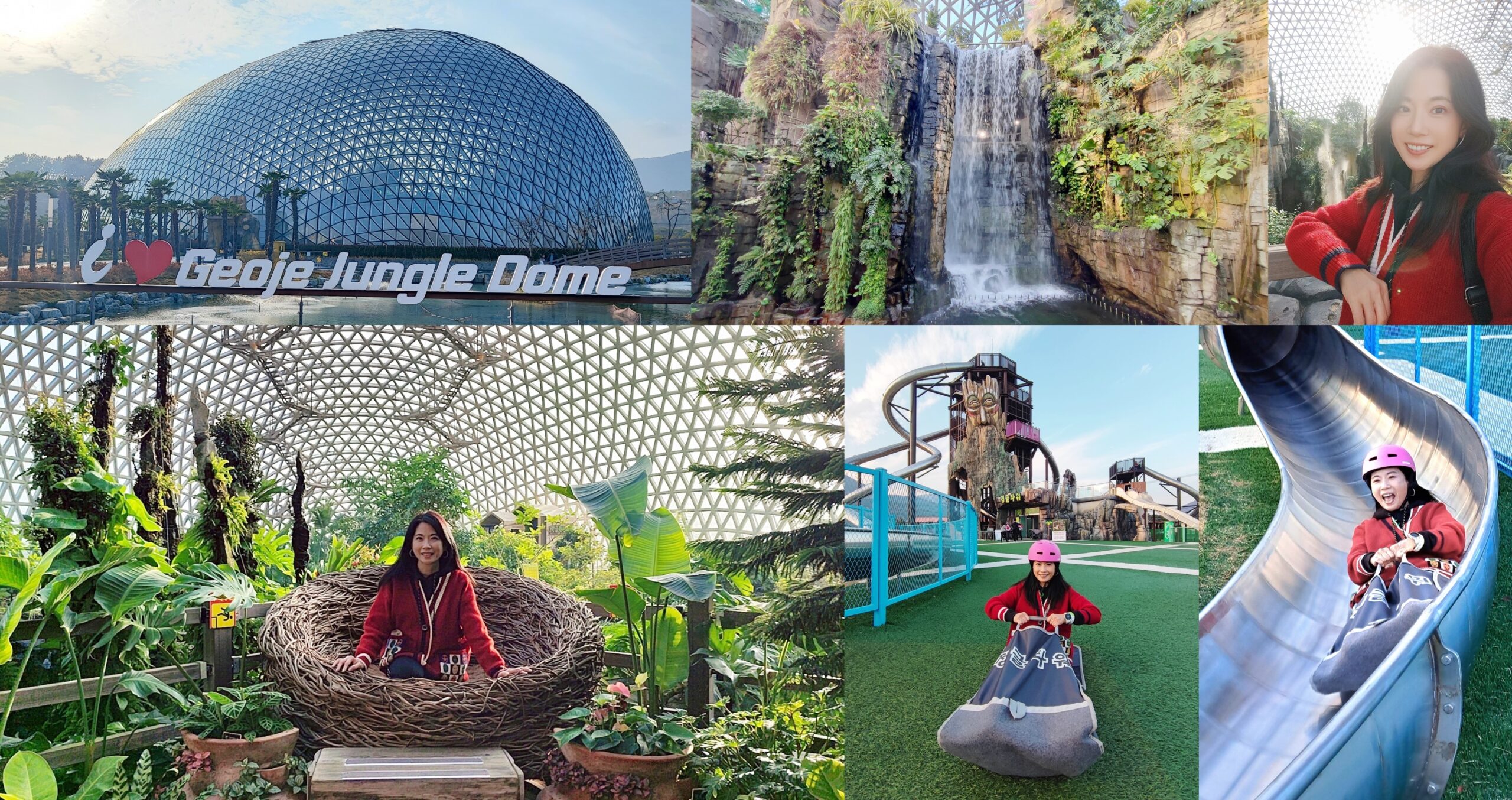 Geoje Botanic Garden,圓頂叢林園Geoje Jungle Dome,巨濟植物園,慶尚南道,韓國旅遊,거제식물원