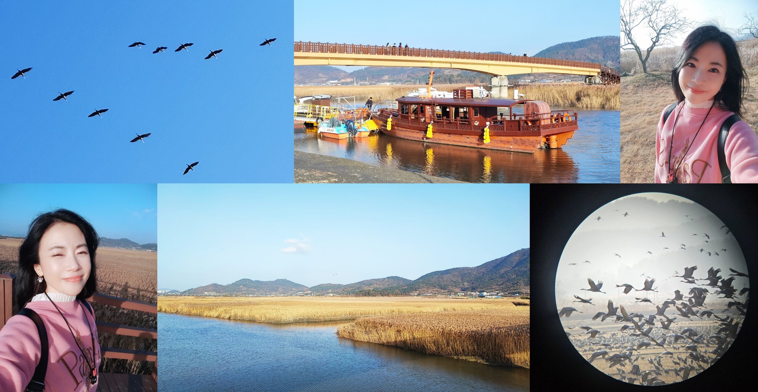 Suncheon Bay Wetland,全羅南道Jeollanam Do,全羅南道順天SUNCHEON,韓國旅遊,順天灣濕地,순천만습지