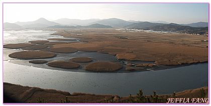 Suncheon Bay Wetland,全羅南道Jeollanam Do,全羅南道順天SUNCHEON,韓國旅遊,順天灣濕地,순천만습지