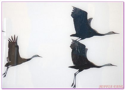 Suncheon Bay Wetland,全羅南道Jeollanam Do,全羅南道順天SUNCHEON,韓國旅遊,順天灣濕地,순천만습지