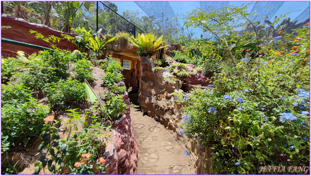 Palawan Butterfly Eco-Garden and Tribal Village,公主港Puerto Princesa,巴拉望Palawan,巴拉望蝴蝶生態園,巴達克原住民部落,菲律賓旅遊