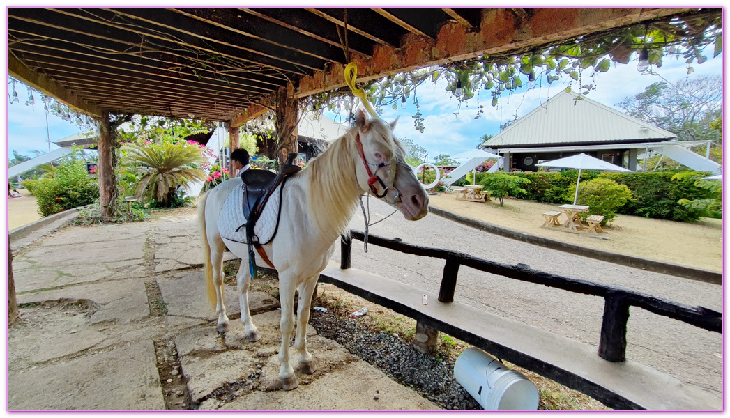 公主港Puerto Princesa,公主港市區觀光,巴拉望Palawan,省長的家 Mitra's Ranch,菲律賓旅遊,蜜都拉之家,麵包山Baker’s Hill