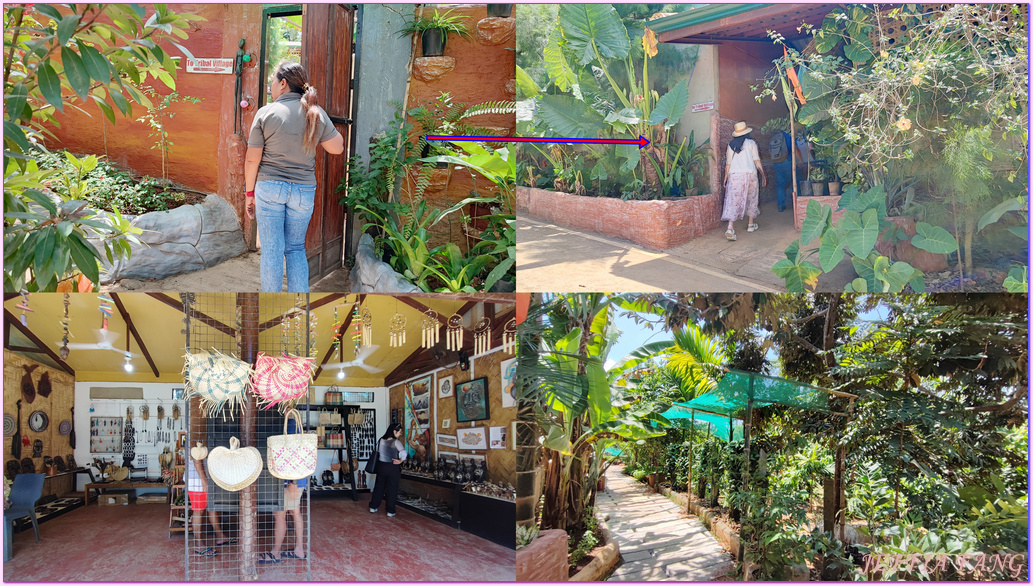 Palawan Butterfly Eco-Garden and Tribal Village,公主港Puerto Princesa,巴拉望Palawan,巴拉望蝴蝶生態園,巴達克原住民部落,菲律賓旅遊