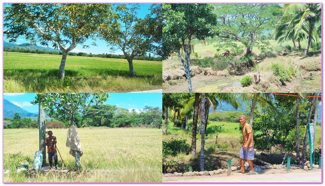 Iwahig Penal Farm,公主港Puerto Princesa,巴拉望Palawan,菲律賓旅遊,開心監獄農場