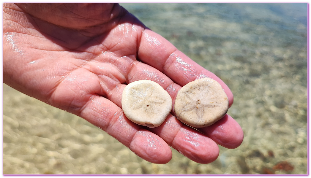 可麗島Cowrie Island,巴拉望Palawan,巴拉望跳島,本田灣,本田灣ＨONDA BAY,海星島Starfish Island,菲律賓旅遊,路尼島Luli Island