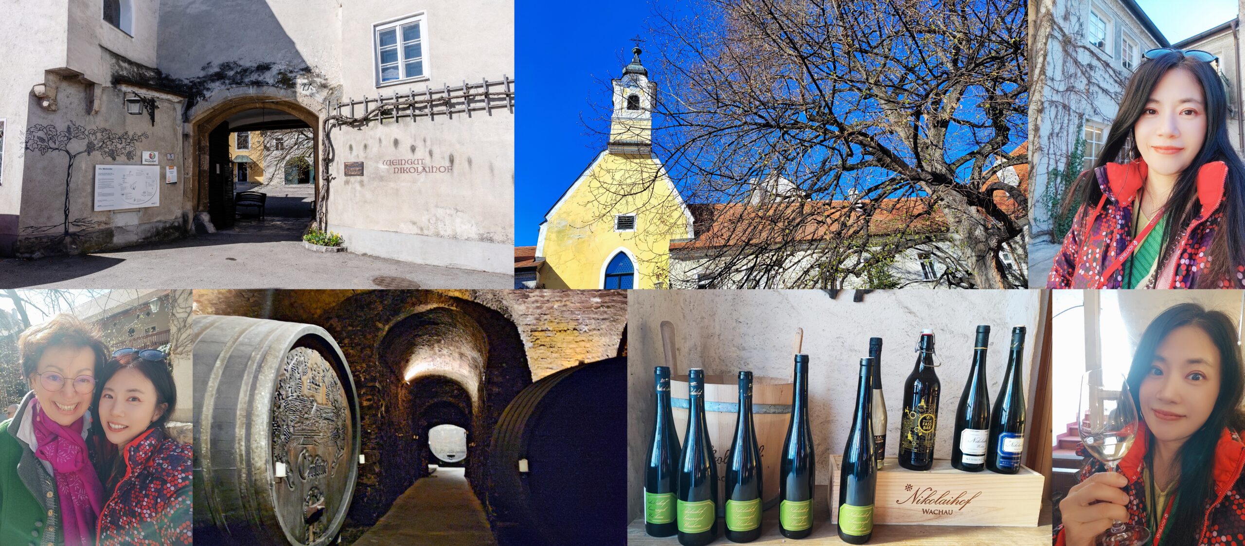 UNIWORD Boutique River Cruises寰宇精品河輪,Weingut 尼古拉霍夫 (Nikolaihof) Wachau,世界上第一個獲得健康葡萄酒獎的酒莊,世界歷史遺產區,奧地利Austria,尼古拉霍夫瓦豪酒莊,杜恩斯堡Durnstien,歐洲深度旅遊,永續旅遊,瓦豪河谷Wachau Valley,生物動力農法Biodynamic Agriculture