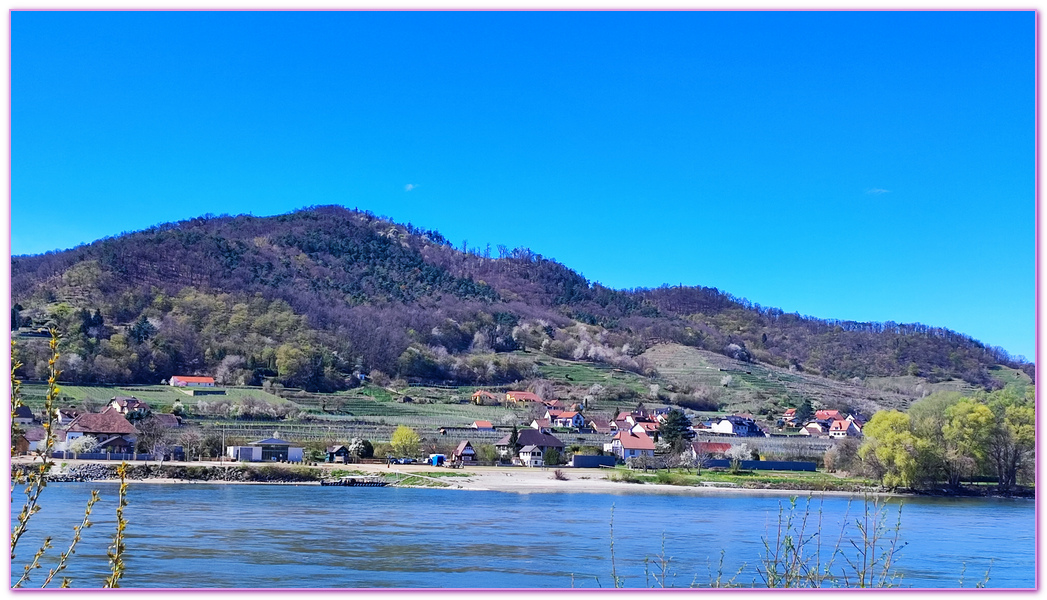 UNIWORD Boutique River Cruises寰宇精品河輪,Weingut 尼古拉霍夫 (Nikolaihof) Wachau,世界上第一個獲得健康葡萄酒獎的酒莊,世界歷史遺產區,奧地利Austria,尼古拉霍夫瓦豪酒莊,杜恩斯堡Durnstien,歐洲深度旅遊,永續旅遊,瓦豪河谷Wachau Valley,生物動力農法Biodynamic Agriculture