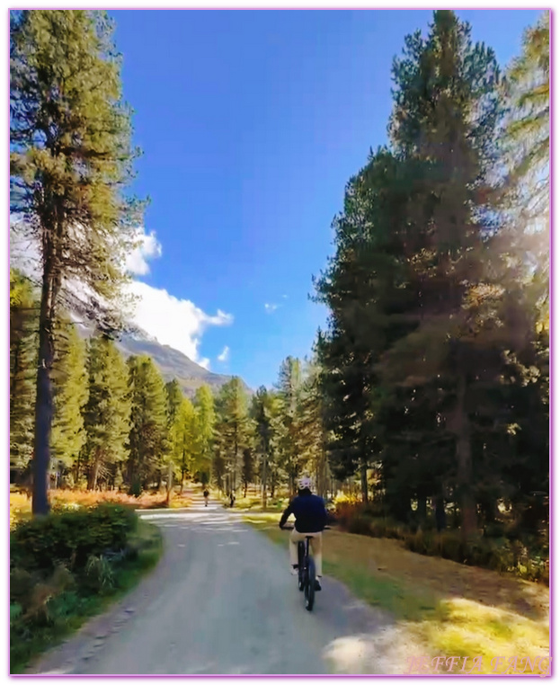 Biking,Hiking,Lake Champfer尚菲爾湖,Pappalou Restaurant,席爾瓦普拉納Silvaplana,席爾瓦普拉納湖Silvaplana Lake,格勞賓登州Graubunden,歐洲Europe,歐洲單車之旅,歐洲旅遊,聖莫里茲St. Moritz Biking,Hiking,Lake Champfer尚菲爾湖,Pappalou Restaurant,席爾瓦普拉納Silvaplana,席爾瓦普拉納湖Silvaplana Lake,格勞賓登州Graubunden,歐洲Europe,歐洲單車之旅,歐洲旅遊,聖莫里茲St. Moritz
