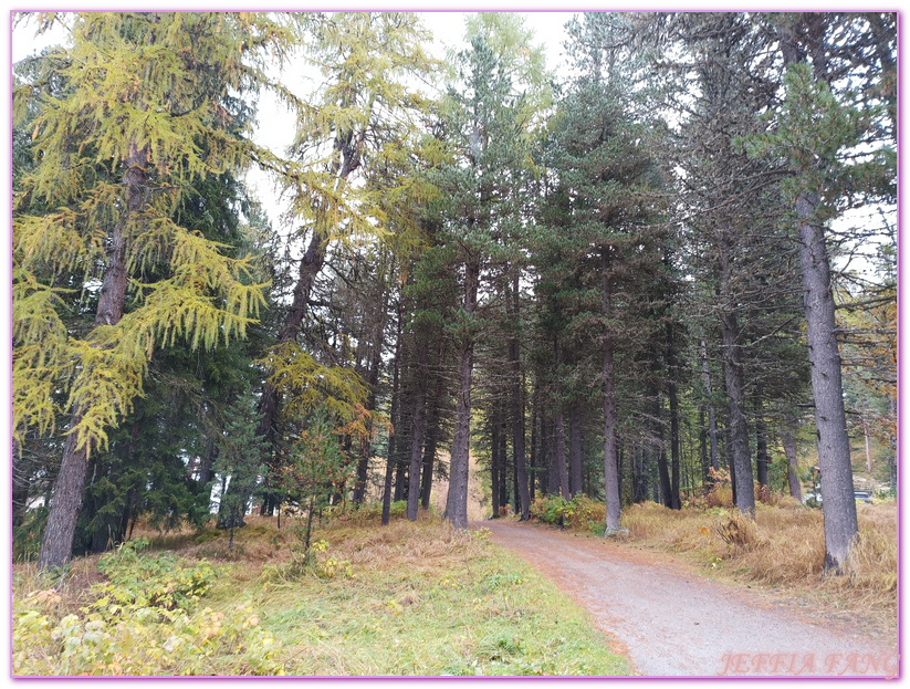Biking,Hiking,Lake Champfer尚菲爾湖,Pappalou Restaurant,席爾瓦普拉納Silvaplana,席爾瓦普拉納湖Silvaplana Lake,格勞賓登州Graubunden,歐洲Europe,歐洲單車之旅,歐洲旅遊,聖莫里茲St. Moritz Biking,Hiking,Lake Champfer尚菲爾湖,Pappalou Restaurant,席爾瓦普拉納Silvaplana,席爾瓦普拉納湖Silvaplana Lake,格勞賓登州Graubunden,歐洲Europe,歐洲單車之旅,歐洲旅遊,聖莫里茲St. Moritz