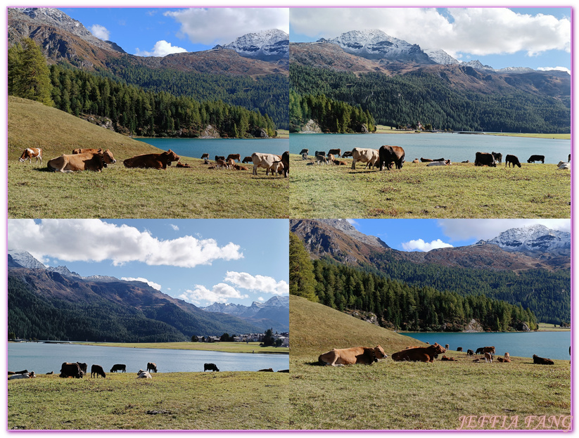 Biking,Hiking,Lake Champfer尚菲爾湖,Pappalou Restaurant,席爾瓦普拉納Silvaplana,席爾瓦普拉納湖Silvaplana Lake,格勞賓登州Graubunden,歐洲Europe,歐洲單車之旅,歐洲旅遊,聖莫里茲St. Moritz Biking,Hiking,Lake Champfer尚菲爾湖,Pappalou Restaurant,席爾瓦普拉納Silvaplana,席爾瓦普拉納湖Silvaplana Lake,格勞賓登州Graubunden,歐洲Europe,歐洲單車之旅,歐洲旅遊,聖莫里茲St. Moritz