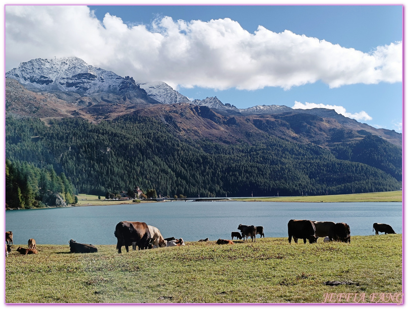 Biking,Hiking,Lake Champfer尚菲爾湖,Pappalou Restaurant,席爾瓦普拉納Silvaplana,席爾瓦普拉納湖Silvaplana Lake,格勞賓登州Graubunden,歐洲Europe,歐洲單車之旅,歐洲旅遊,聖莫里茲St. Moritz Biking,Hiking,Lake Champfer尚菲爾湖,Pappalou Restaurant,席爾瓦普拉納Silvaplana,席爾瓦普拉納湖Silvaplana Lake,格勞賓登州Graubunden,歐洲Europe,歐洲單車之旅,歐洲旅遊,聖莫里茲St. Moritz