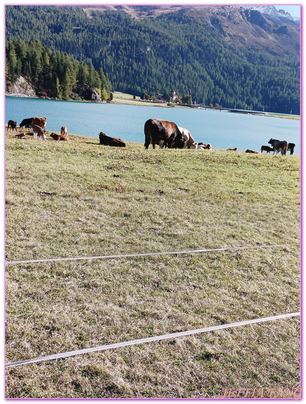 Biking,Hiking,Lake Champfer尚菲爾湖,Pappalou Restaurant,席爾瓦普拉納Silvaplana,席爾瓦普拉納湖Silvaplana Lake,格勞賓登州Graubunden,歐洲Europe,歐洲單車之旅,歐洲旅遊,聖莫里茲St. Moritz Biking,Hiking,Lake Champfer尚菲爾湖,Pappalou Restaurant,席爾瓦普拉納Silvaplana,席爾瓦普拉納湖Silvaplana Lake,格勞賓登州Graubunden,歐洲Europe,歐洲單車之旅,歐洲旅遊,聖莫里茲St. Moritz