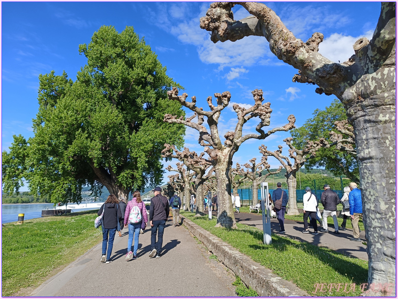 呂德斯海姆Rudesheim,寰宇精品河輪UNIWORLD Boutique River Cruises,德國Germany,歐洲Europe,沃爾拉茲城堡Castle Vollrads,萊茵河Rhine River,雷司令Riesling 呂德斯海姆Rudesheim,寰宇精品河輪UNIWORLD Boutique River Cruises,德國Germany,歐洲Europe,沃爾拉茲城堡Castle Vollrads,萊茵河Rhine River,雷司令Riesling