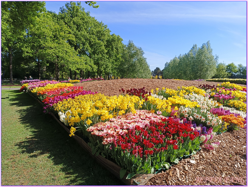 利瑟Lisse,寰宇精品河輪UNIWORLD Boutique River Cruises,庫肯霍夫花園Keukenhof Gardens,歐洲Europe,荷蘭Netherlands,萊茵河Rhine River 利瑟Lisse,寰宇精品河輪UNIWORLD Boutique River Cruises,庫肯霍夫花園Keukenhof Gardens,歐洲Europe,荷蘭Netherlands,萊茵河Rhine River