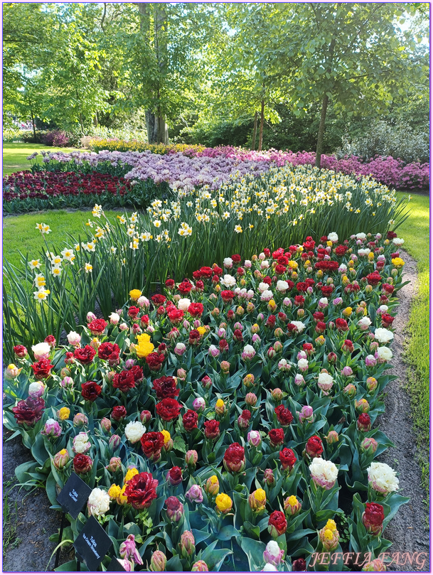 利瑟Lisse,寰宇精品河輪UNIWORLD Boutique River Cruises,庫肯霍夫花園Keukenhof Gardens,歐洲Europe,荷蘭Netherlands,萊茵河Rhine River 利瑟Lisse,寰宇精品河輪UNIWORLD Boutique River Cruises,庫肯霍夫花園Keukenhof Gardens,歐洲Europe,荷蘭Netherlands,萊茵河Rhine River