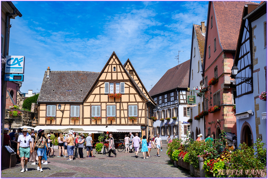 亞爾薩斯區Alsatian,寰宇精品河輪UNIWORLD Boutique River Cruises,德國Germany,德國布萊薩赫Breisach am Rhein,歐洲Europe,法國France,科瑪小鎮Colmar