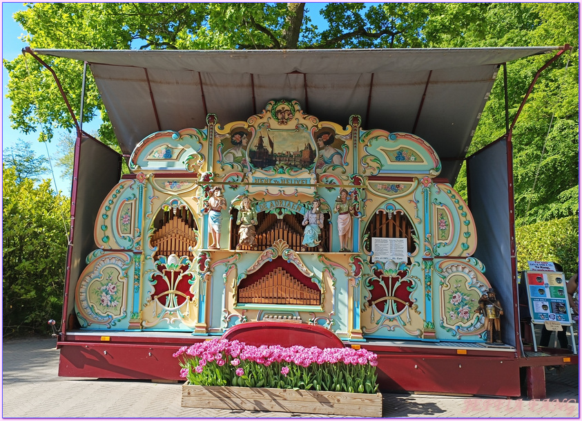利瑟Lisse,寰宇精品河輪UNIWORLD Boutique River Cruises,庫肯霍夫花園Keukenhof Gardens,歐洲Europe,荷蘭Netherlands,萊茵河Rhine River 利瑟Lisse,寰宇精品河輪UNIWORLD Boutique River Cruises,庫肯霍夫花園Keukenhof Gardens,歐洲Europe,荷蘭Netherlands,萊茵河Rhine River