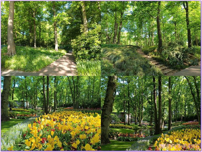 利瑟Lisse,寰宇精品河輪UNIWORLD Boutique River Cruises,庫肯霍夫花園Keukenhof Gardens,歐洲Europe,荷蘭Netherlands,萊茵河Rhine River 利瑟Lisse,寰宇精品河輪UNIWORLD Boutique River Cruises,庫肯霍夫花園Keukenhof Gardens,歐洲Europe,荷蘭Netherlands,萊茵河Rhine River