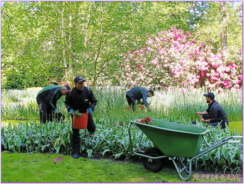 利瑟Lisse,寰宇精品河輪UNIWORLD Boutique River Cruises,庫肯霍夫花園Keukenhof Gardens,歐洲Europe,荷蘭Netherlands,萊茵河Rhine River 利瑟Lisse,寰宇精品河輪UNIWORLD Boutique River Cruises,庫肯霍夫花園Keukenhof Gardens,歐洲Europe,荷蘭Netherlands,萊茵河Rhine River