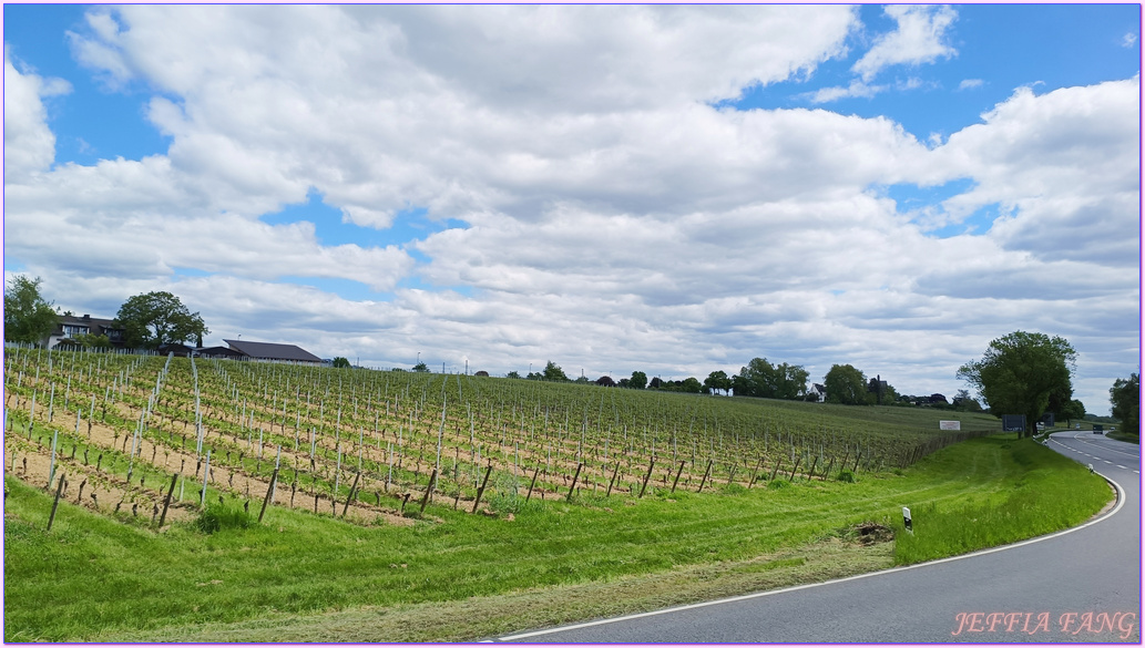呂德斯海姆Rudesheim,寰宇精品河輪UNIWORLD Boutique River Cruises,德國Germany,歐洲Europe,沃爾拉茲城堡Castle Vollrads,萊茵河Rhine River,雷司令Riesling 呂德斯海姆Rudesheim,寰宇精品河輪UNIWORLD Boutique River Cruises,德國Germany,歐洲Europe,沃爾拉茲城堡Castle Vollrads,萊茵河Rhine River,雷司令Riesling