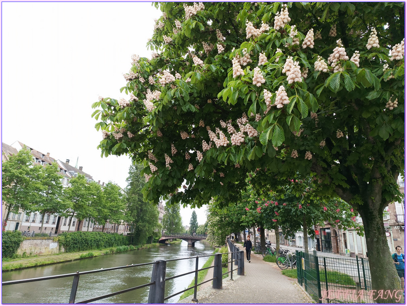 世界文化遺產,亞爾薩斯區Alsatian,史特拉斯堡Strasbourg,寰宇精品河輪UNIWORLD Boutique River Cruises,小法蘭西區Petite France,歐洲Europe