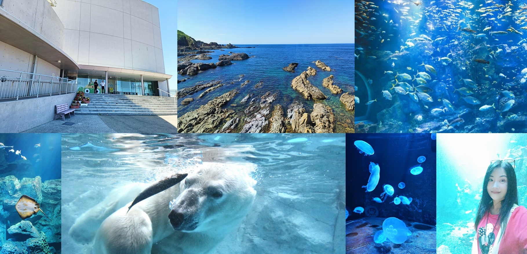 網站近期文章：◎日本東北秋田男鹿【男鹿水族館G A O】北極熊、企鵝、海豹、日本海四百種海洋生物(可愛微笑的魟魚)