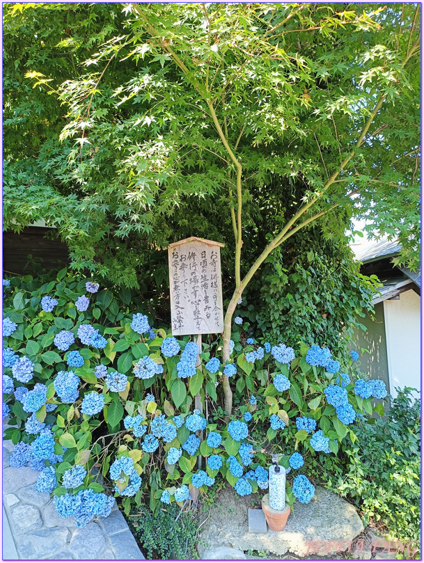 日本Japan,日本旅遊,日本東北Tohoku,男鹿半島 Oga hanto,雲昌寺Unshoji
