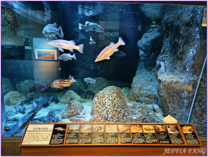 日本Japan,男鹿半島 Oga hanto,男鹿水族館G A O,秋田Akita